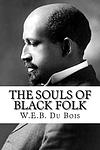 Cover of The Souls of Black Folk