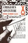 Cover of Ambiguous Adventure